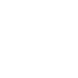 Icon Age of Sovereigns